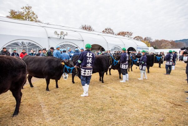 第72回松阪肉牛共進会（松阪牛まつり）
