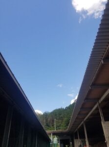 松阪牛牧場からの空