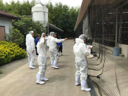 松阪牛牧場の審査