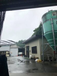 松阪牛牧場の梅雨
