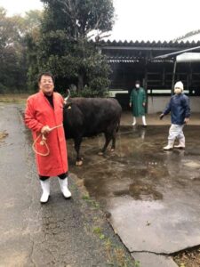 特産松阪牛と飼育員