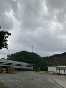 松阪牛牧場と曇り空