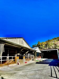 松阪牛牧場と真っ青な空
