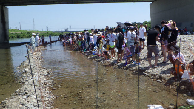 鮎つかみ大会