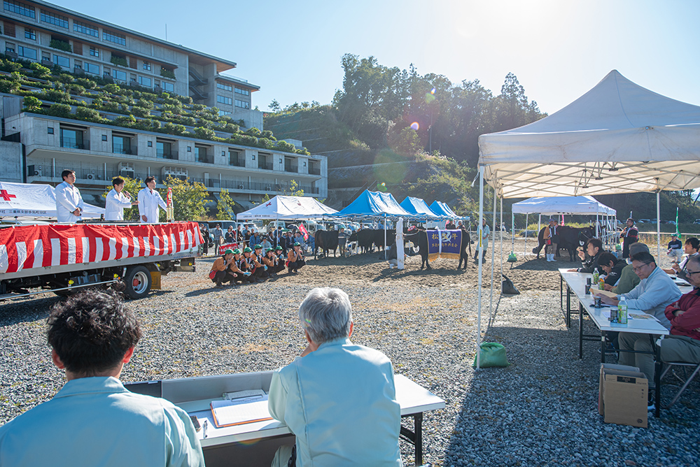 第57回 多気町肉牛共進会4