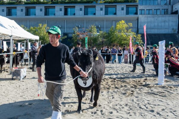 複合リゾート施設VISONで開催された第58回 多気町肉牛共進会の松阪牛⑨