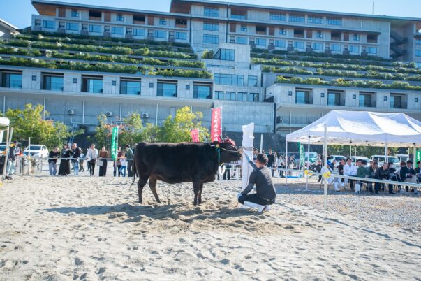 複合リゾート施設VISONで開催された第58回 多気町肉牛共進会の松阪牛⑥