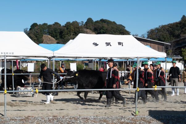 複合リゾート施設VISONで開催された第58回 多気町肉牛共進会の松阪牛⑦