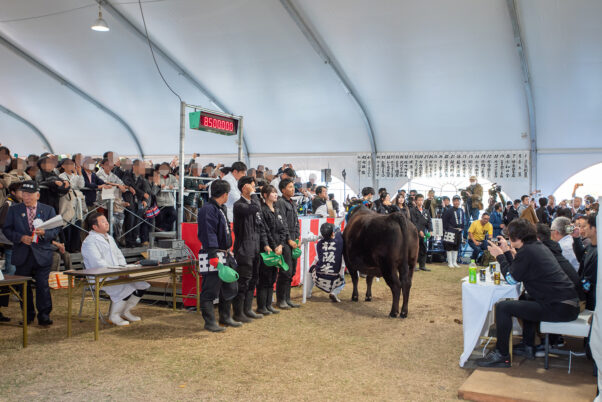 第74回 松阪肉牛共進会での相可高校が出品した特産松阪牛が松阪市内の精肉店「霜ふり本舗」にて８５０万円で落札された瞬間