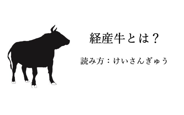 経産牛とは?読み方:けいさんぎゅう