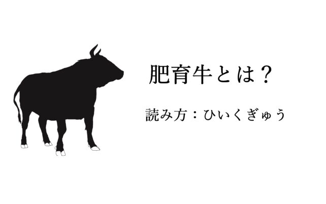 肥育牛とは?読み方:ひいくぎゅう
