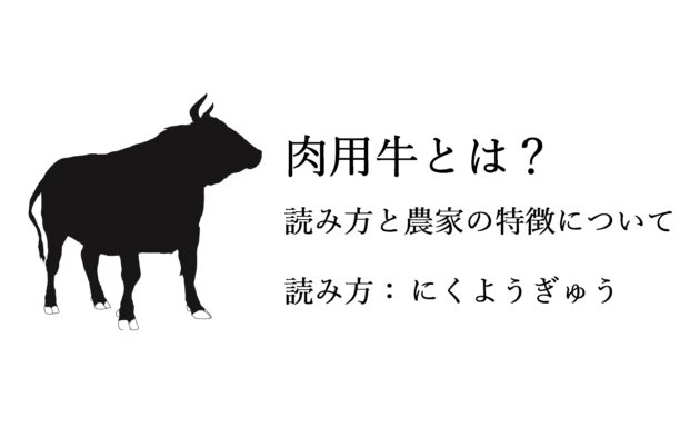 肉用牛とは?読み方と農家の特徴について
